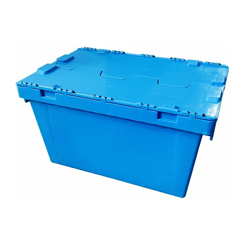 Attached Lid Boxes