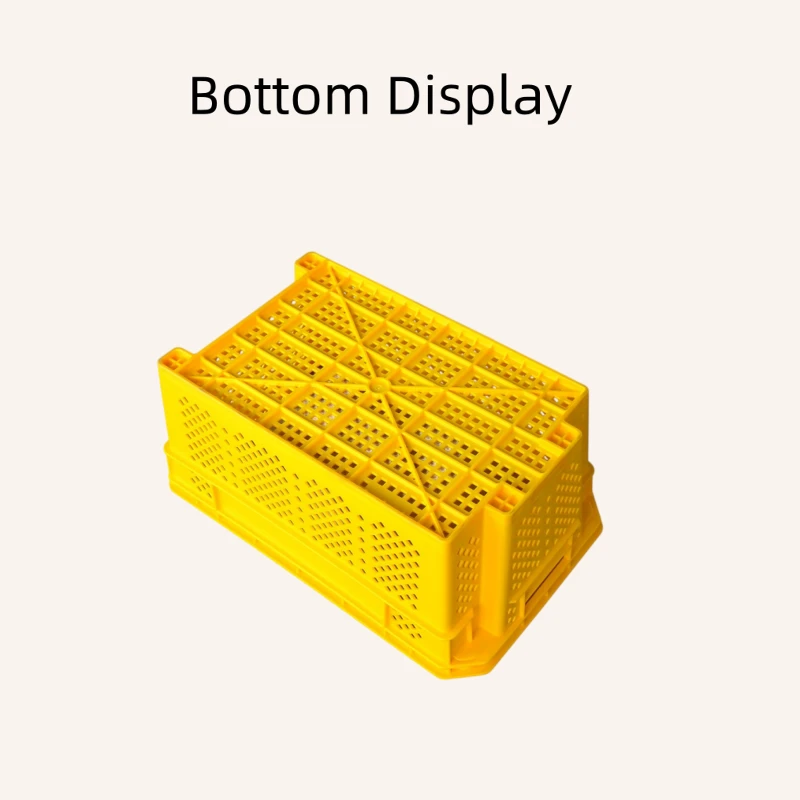 bott bott